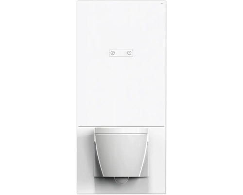 Hewi WC-Ausbaumodul S 50 2-Mengentechnik Plexiglas weiß glänzend S50.02.102010 Brennwerttherme zur Wandmontage mit Abgasanschluss