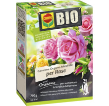Packung Bio Rosendünger von Compo mit Guano