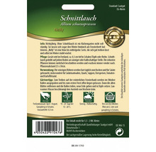 Samenpackung Schnittlauch Nelly