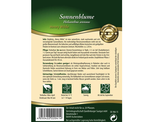 Sonnenblumen Samen der Sorte Henry Wilde für circa 20 Pflanzen