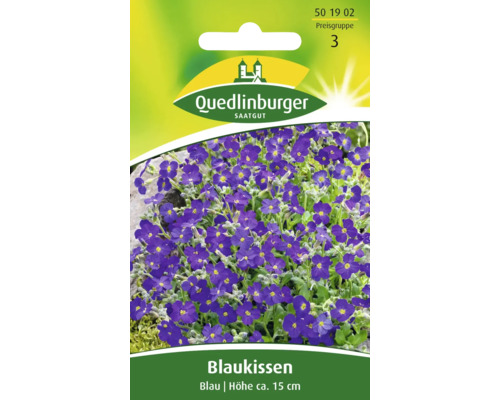 Blaukissen 'Blau' Quedlinburger Blumensamen