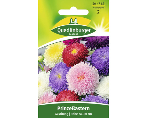 Aster Prinzeß-Mischung Blumensamen Quedlinburger
