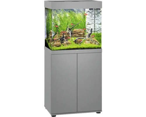 Aquariumkombination mit Unterschrank, inklusive Fische, Pflanzen und Dekoration