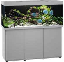 Eingerichtetes Aquarium mit Unterschrank, Fischen und Pflanzen