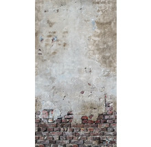 Beschädigte Ziegelmauer mit Putzresten