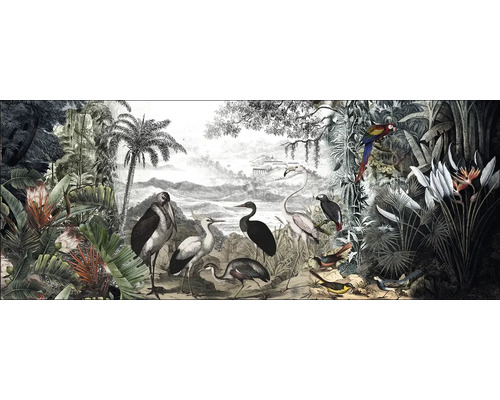 Glasbild Birds In The Jungle II 125x50 cm