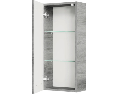 Offener grauer Spiegelschrank mit zwei Glasablagen