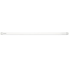 Leuchtstofflampe