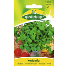 Koriandersamenpackung von Quedlinburger Saatgut