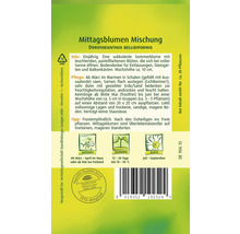 Verpackung Mittagsblumen Mischung Saatgut