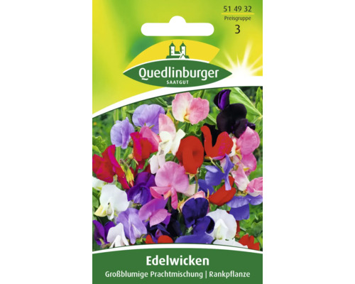 Edelwicke 'Grossblumige Mischung' Quedlinburger Blumensamen