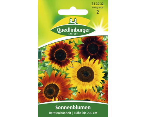 Sonnenblume 'Herbstschön' Quedlinburger Blumensamen
