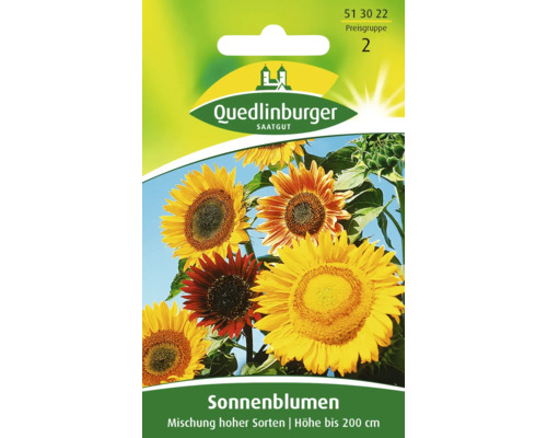 Sonnenblume 'Hohe Sorten Mischung' Quedlinburger Mischung Blumensamen