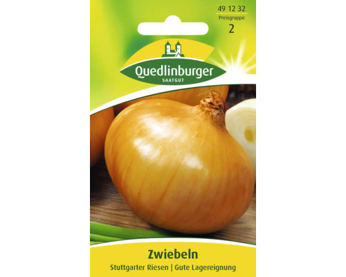 Zwiebel 'Stuttgarter Riesen' Quedlinburger Gemüsesamen