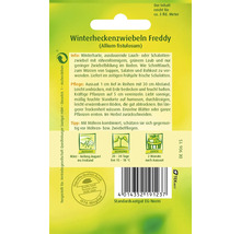 Winterheckenzwiebeln Freddy Samenpackung