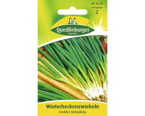 Winterheckenzwiebel 'Freddy' Quedlinburger Gemüsesamen
