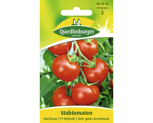 Stabtomate 'Harzfeuer' Quedlinburger Gemüsesamen