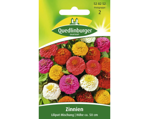 Zinnie 'Lilliput' Mischung Quedlinburger Blumensamen