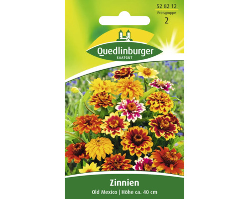 Zinnie 'Old Mexico' Quedlinburger Blumensamen
