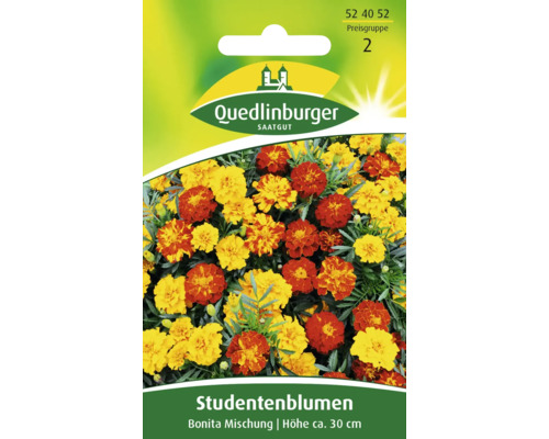 Studentenblume 'Bonita Mischung' Quedlinburger Blumensamen