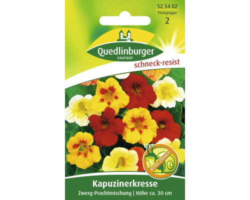 Kapuzinerkresse 'Zwerg-Mischung' Quedlinburger Blumensamen