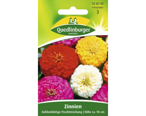 Zinnie 'Dahlienblütige' Prachtmischung Quedlinburger Blumensamen