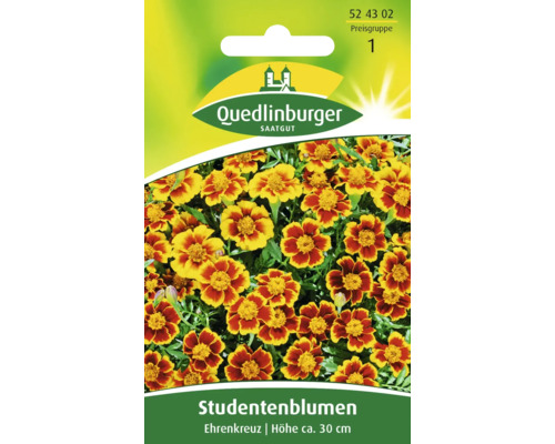 Studentenblume 'Ehrenkreuz' Quedlinburger Blumensamen