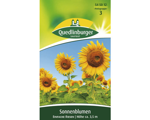 Sonnenblume 'Einfache Riesen' Quedlinburger Blumensamen