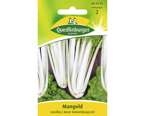 Mangold 'Lucullus' Quedlinburger Gemüsesamen