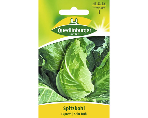Spitzkohl 'Express' Quedlinburger Gemüsesamen
