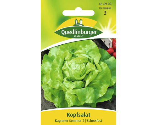 Kopfsalat 'Kagraner Sommer 2' Quedlinburger Salatsamen