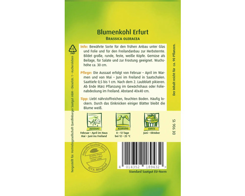 Blumenkohlsamen der Sorte Erfurt