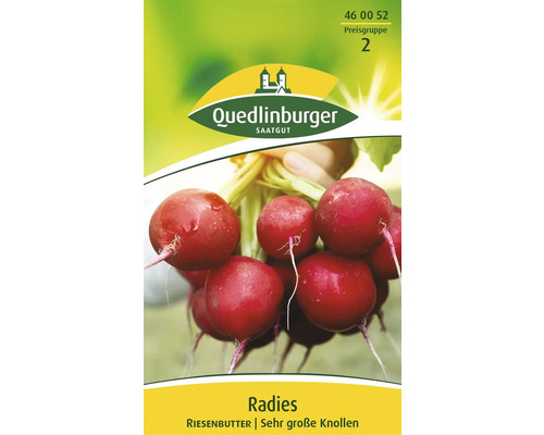 Radieschen 'Riesenbutter' Quedlinburger Gemüsesamen