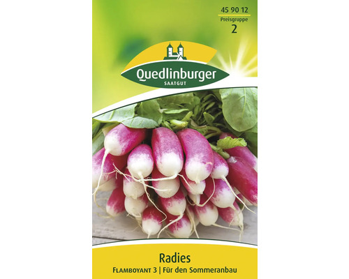 Radieschen 'Flamboyant 2' Quedlinburger Gemüsesamen