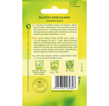 Zucchini Ambassador Quedlinburger Hybrid-Saatgut Gemüsesamen