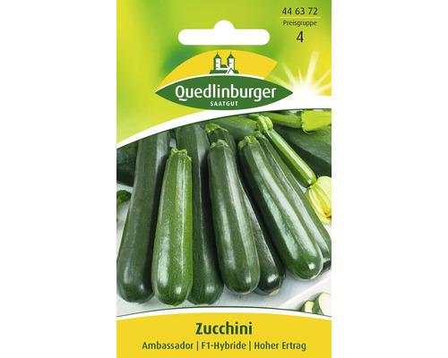 Zucchini 'Ambassador' Quedlinburger Gemüsesamen