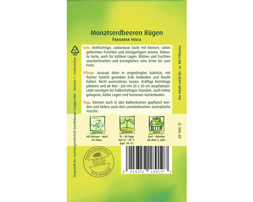 Monatserdbeeren Rügen Samenpackung