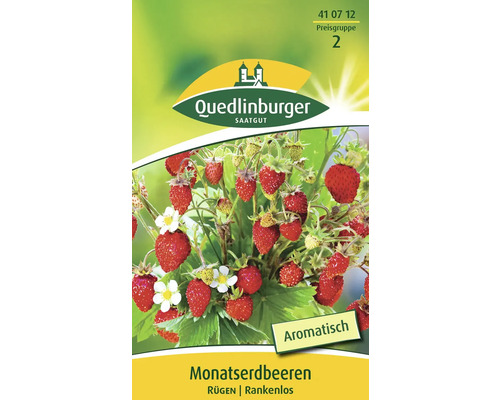 Monatserdbeere 'Rügen' Quedlinburger Gemüsesamen