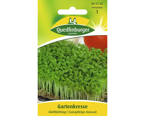 Gartenkresse 'Glattblättrige' Quedlinburger Gemüsesamen