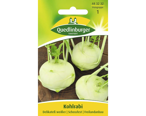 Kohlrabi 'Delikateß weißer' Quedlinburger Gemüsesamen