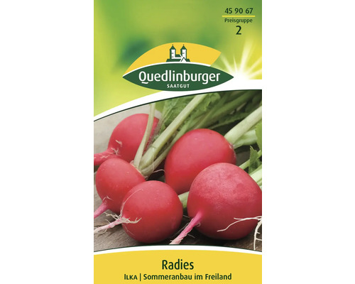 Radieschen 'Ilka' Quedlinburger Gemüsesamen