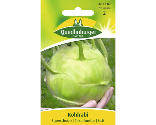 Kohlrabi 'Superschmelz' Quedlinburger Gemüsesamen