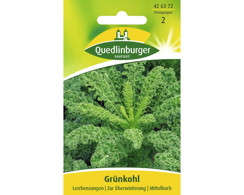 Grünkohl 'Lerchenzungen' Quedlinburger Gemüsesamen
