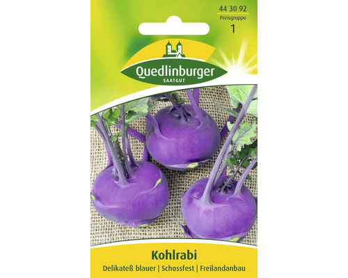 Kohlrabi 'Delikateß blauer' Quedlinburger Gemüsesamen