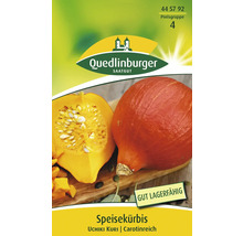 Speisekürbis Uchiki Kuri Samenpackung von Quedlinburger Saatgut
