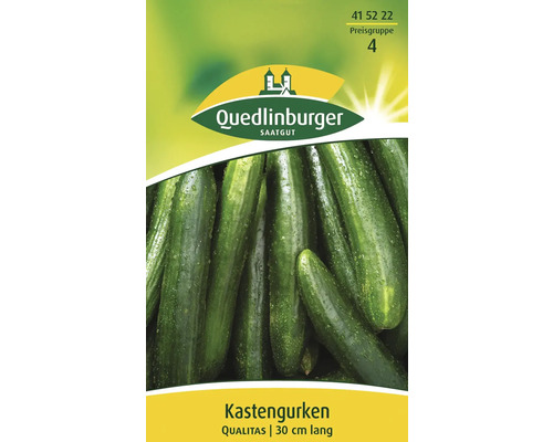 Kastengurke 'Qualitas' Quedlinburger Gemüsesamen