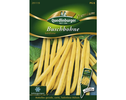 Buschbohne 'Goldtime' Quedlinburger samenfestes Saatgut Gemüsesamen
