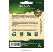 Samenpackung Buschbohne Goldtime