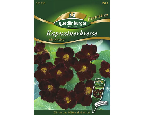 Kapuzinerkresse 'Black Velvet' Quedlinburger Blumensamen