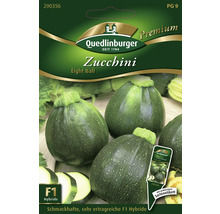 Zucchini Eight Ball Saatgutpackung von Quedlinburger